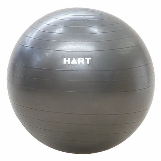 HART Anti Burst Swiss Ball 65cm - Modern Teaching Aids NZ