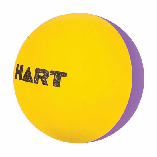 HART High Bounce Ball Purple & Yellow - Modern Teaching Aids NZ