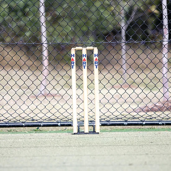 HART Spring Back Stumps - Modern Teaching Aids NZ