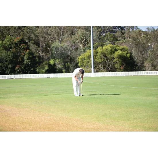 HART Wooden Stumps - Modern Teaching Aids NZ