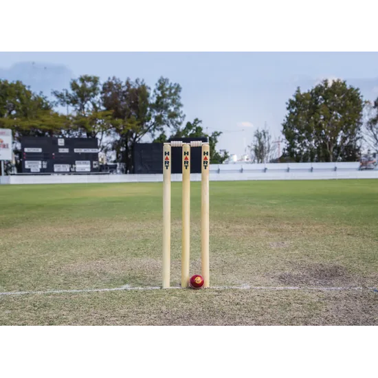 HART Wooden Stumps - Modern Teaching Aids NZ