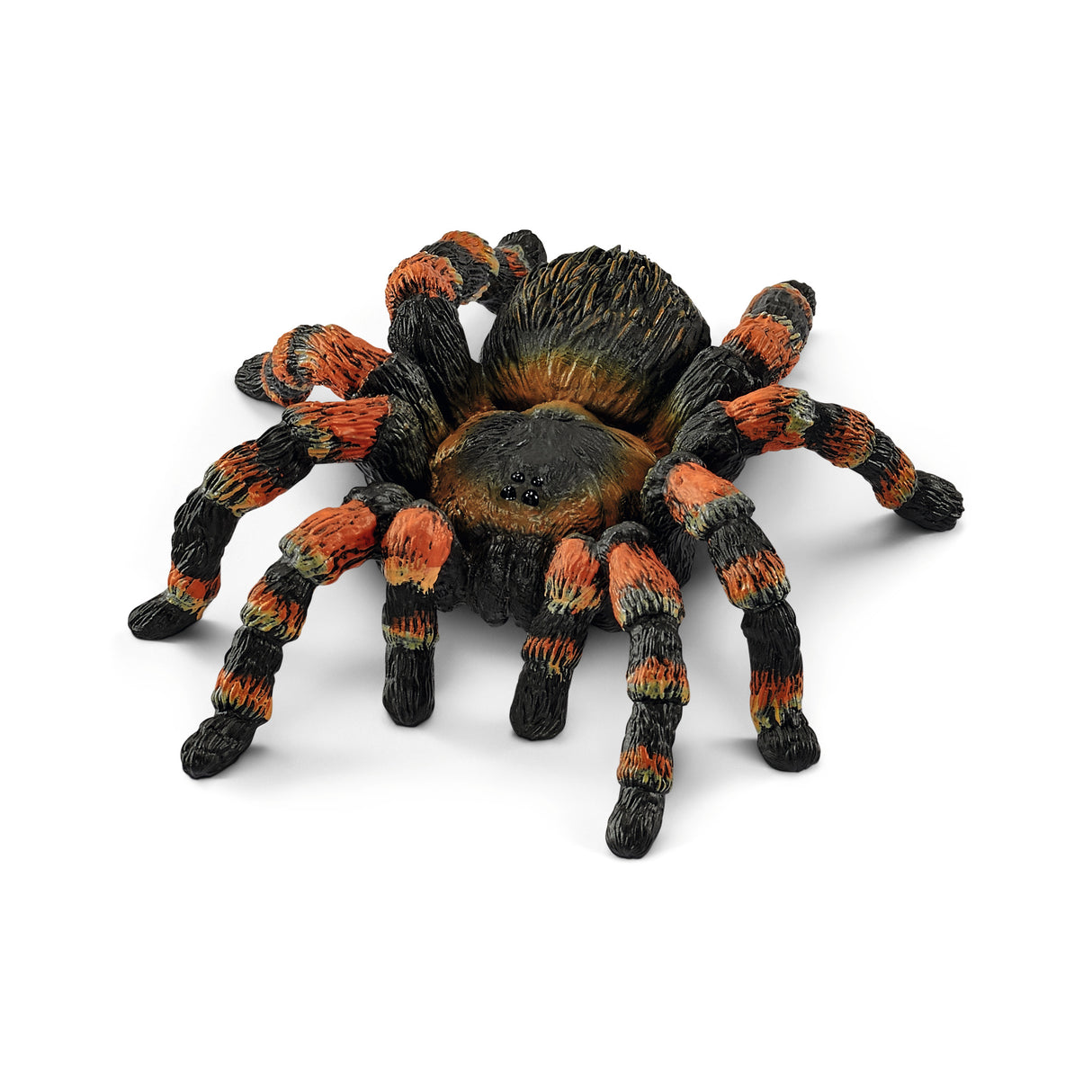 Tarantula Figure - Modern Teaching Aids NZ