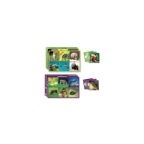 Lotto: 72 Animals - Modern Teaching Aids NZ