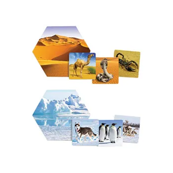 Where Do Animals Live? - Modern Teaching Aids NZ