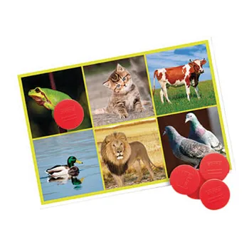 Bingo: Animals and Nature - Modern Teaching Aids NZ