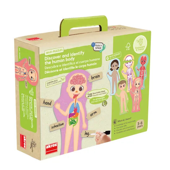 Discover the Human Body Puzzle