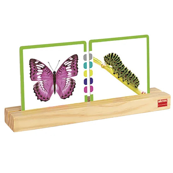 Wooden Card Holders - Pack of 2 - Modern Teaching Aids NZ