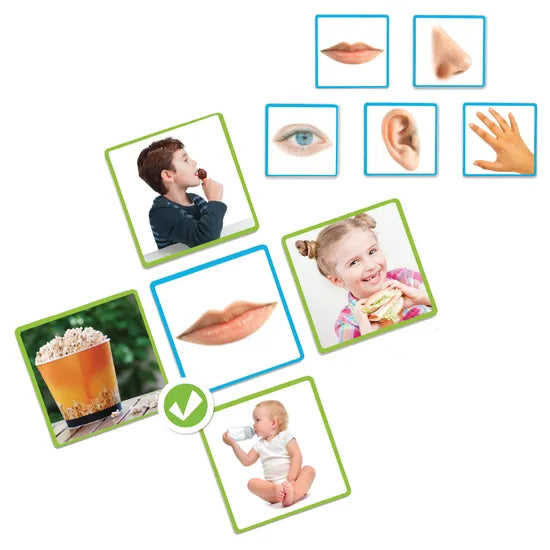 The 5 Senses Matching Game - Modern Teaching Aids NZ