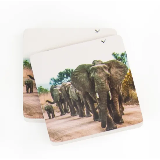 Photo Memory Game - 32 Piece - Modern Teaching Aids NZ