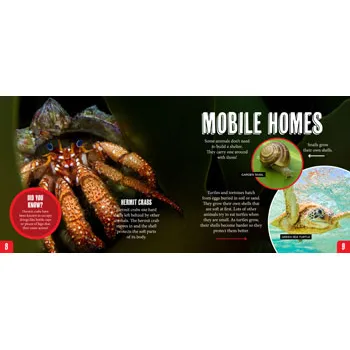 Discover: Animal Homes - Modern Teaching Aids NZ