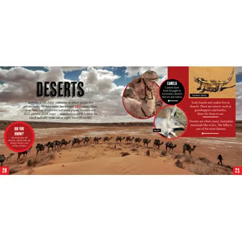 Discover: Animal Homes - Modern Teaching Aids NZ