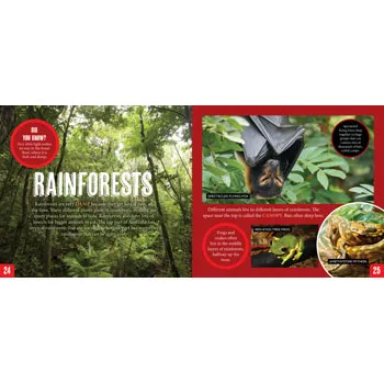 Discover: Animal Homes - Modern Teaching Aids NZ