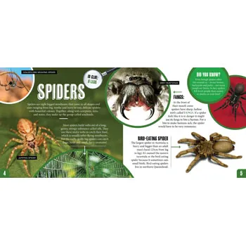 Discover: Minibeasts - Modern Teaching Aids NZ