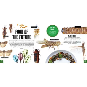 Discover: Minibeasts - Modern Teaching Aids NZ