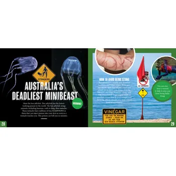 Discover: Minibeasts - Modern Teaching Aids NZ