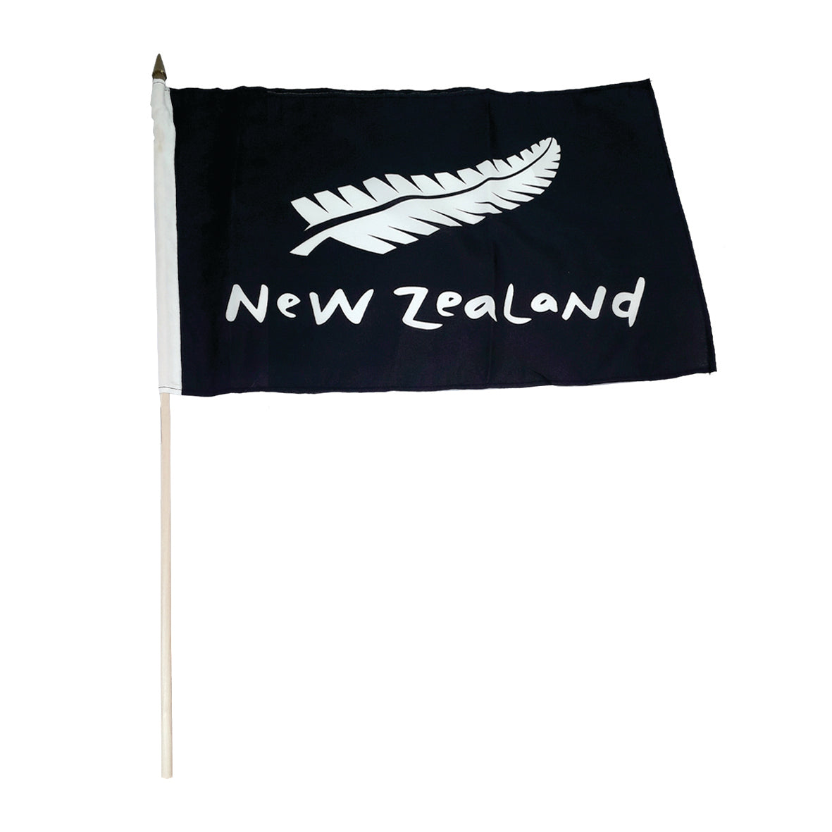 Flag NZ Fern Design 30x45cm ha - Modern Teaching Aids NZ