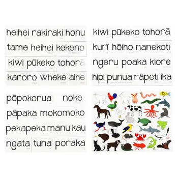Magnetic NZ Māori Animals 63pcs - Modern Teaching Aids NZ