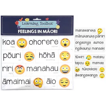 Magnetic NZ Maori Emotions 35pcs - Modern Teaching Aids NZ