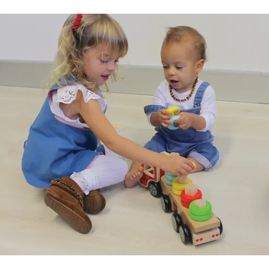 Sort n Stack Truck - Modern Teaching Aids NZ