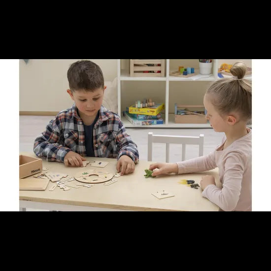 Frog Life Cycle Model & Puzzle Set - Modern Teaching Aids NZ