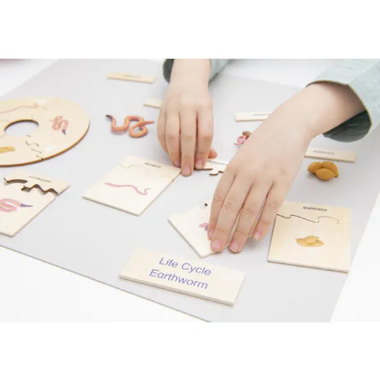 Earthworm Life Cycle Model & Puzzle Set - Modern Teaching Aids NZ