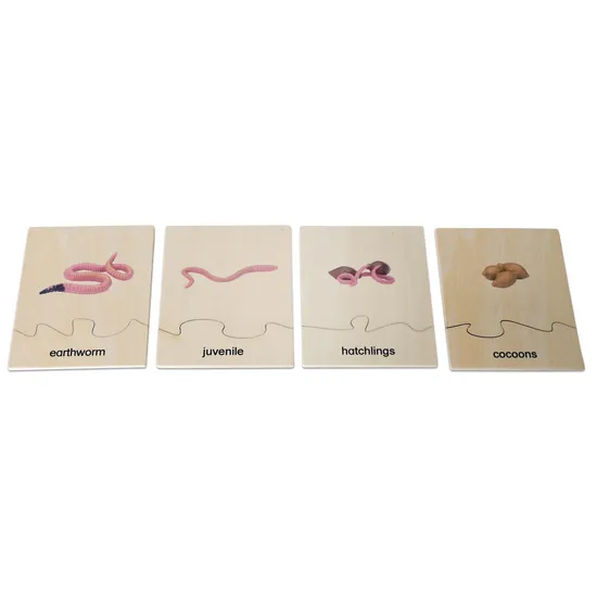 Earthworm Life Cycle Model & Puzzle Set - Modern Teaching Aids NZ