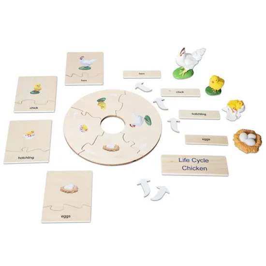 Chicken Life Cycle Model & Puzzle Set - Modern Teaching Aids NZ
