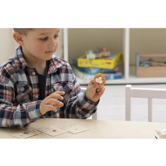 Chicken Life Cycle Model & Puzzle Set - Modern Teaching Aids NZ