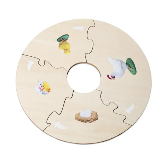 Chicken Life Cycle Model & Puzzle Set - Modern Teaching Aids NZ