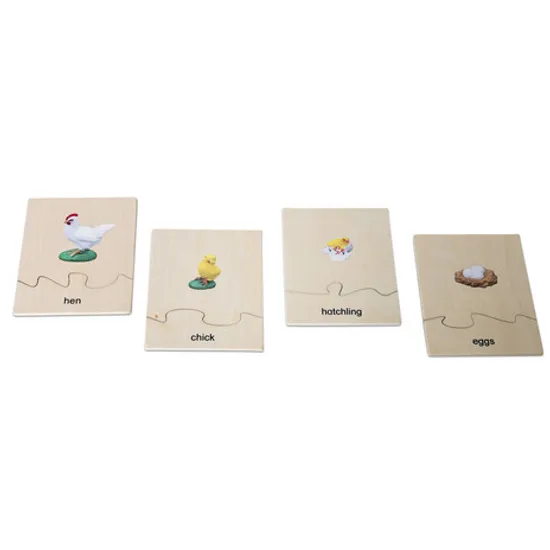 Chicken Life Cycle Model & Puzzle Set - Modern Teaching Aids NZ