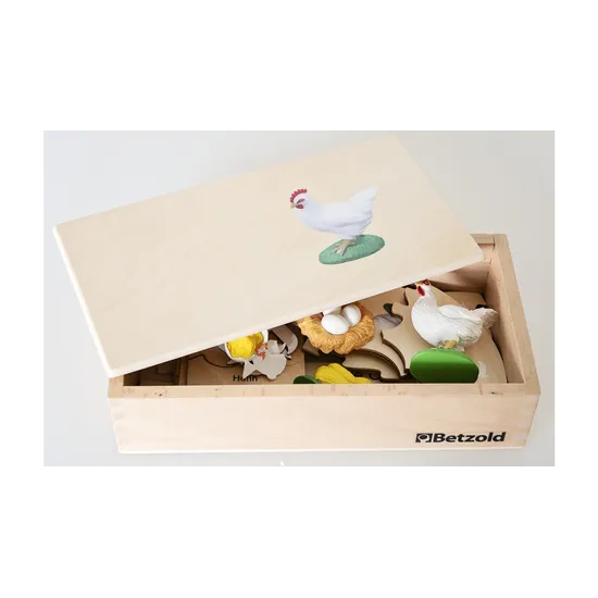 Chicken Life Cycle Model & Puzzle Set - Modern Teaching Aids NZ