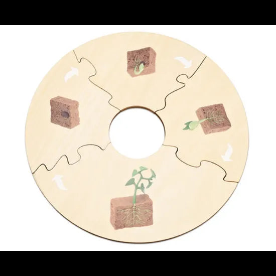 Plant Life Cycle Model & Puzzle Set - Modern Teaching Aids NZ