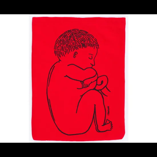 Stages of Pregnancy & Foetal Development - Interactive Set - Modern Teaching Aids NZ