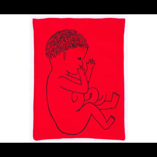 Stages of Pregnancy & Foetal Development - Interactive Set - Modern Teaching Aids NZ