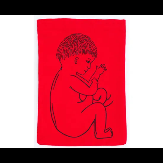 Stages of Pregnancy & Foetal Development - Interactive Set - Modern Teaching Aids NZ