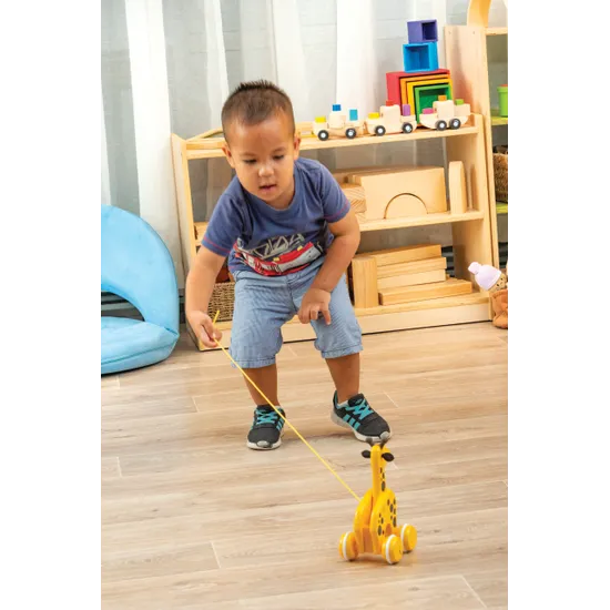 BRIO - Pull Along Giraffe - Modern Teaching Aids NZ