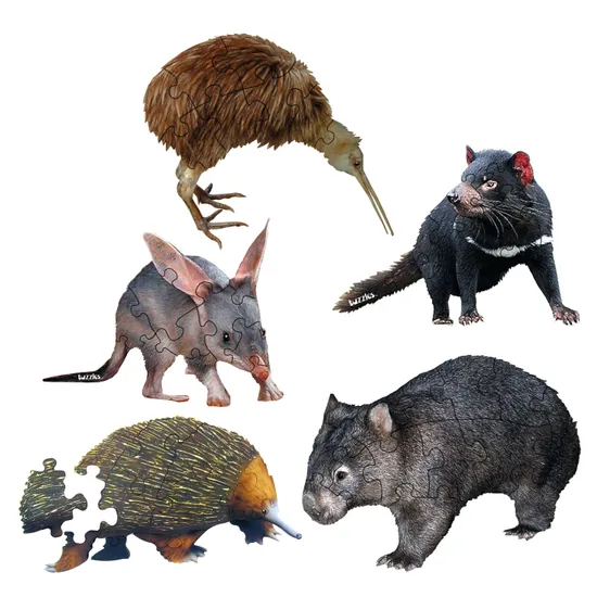 Endangered Animals Puzzles 5 x 12 Pieces - Modern Teaching Aids NZ