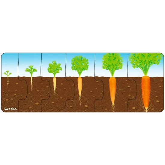 Tuzzles Plant Sequence Inset 6 Pieces - Modern Teaching Aids NZ