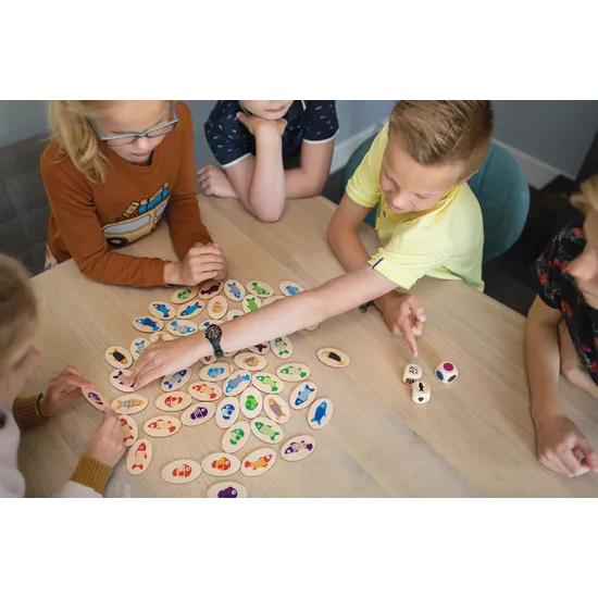 BS Toys - Find the Fish Game - Modern Teaching Aids NZ