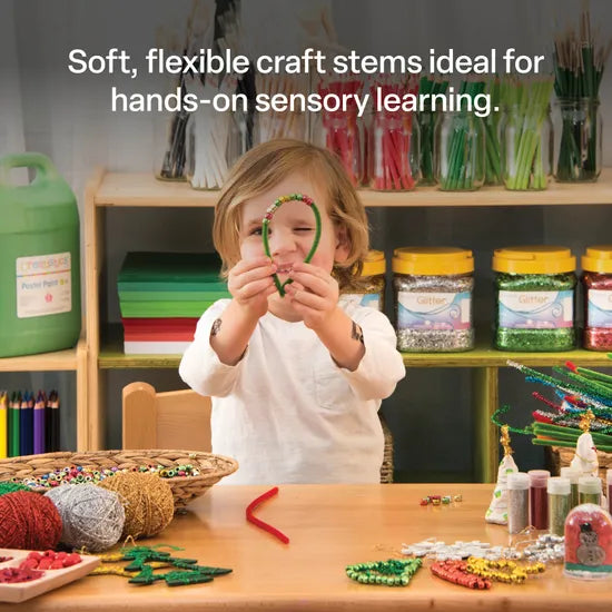 Creatistics Assorted Pipe Cleaners Class Pack 30 cm- Pack of 1000 - Modern Teaching Aids NZ