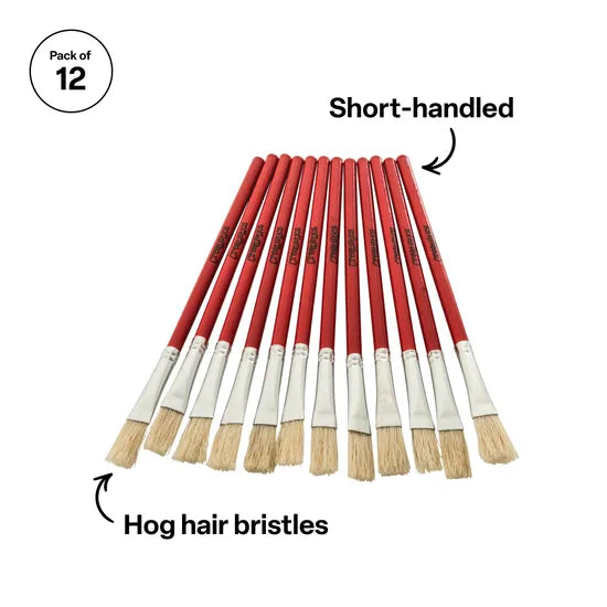 Creatistics Paste Brushes / Paint Brushes Pack 12 - Modern Teaching Aids NZ