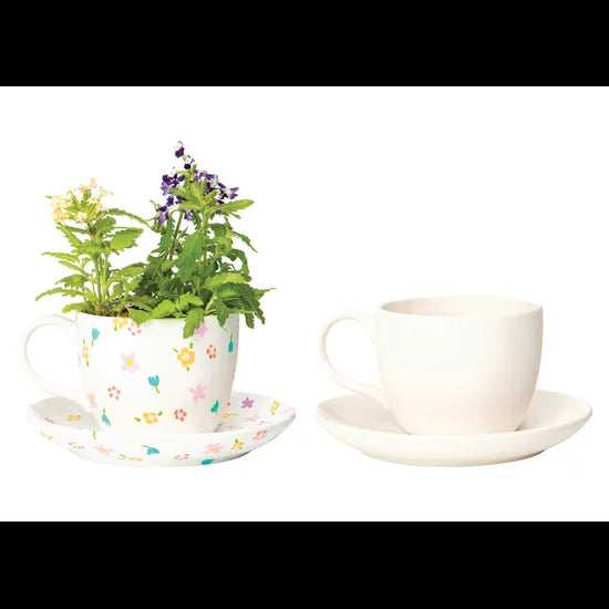 Porcelain Teacup Planter - Pack of 12 - Modern Teaching Aids NZ