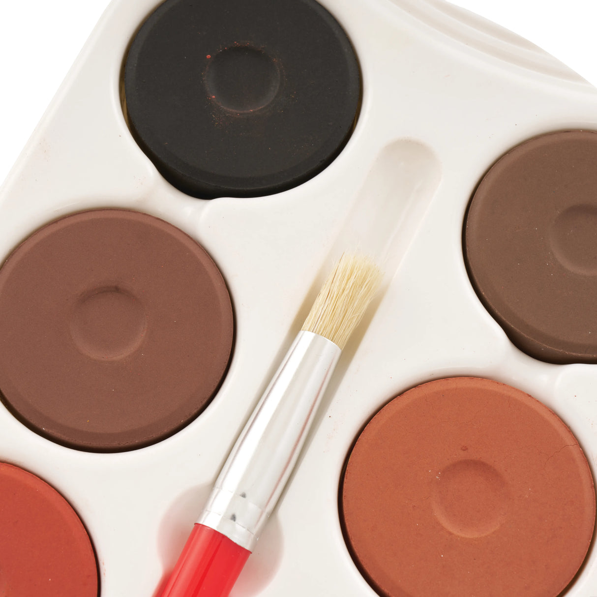 Skin Tone Poster Paint Palette - Modern Teaching Aids NZ