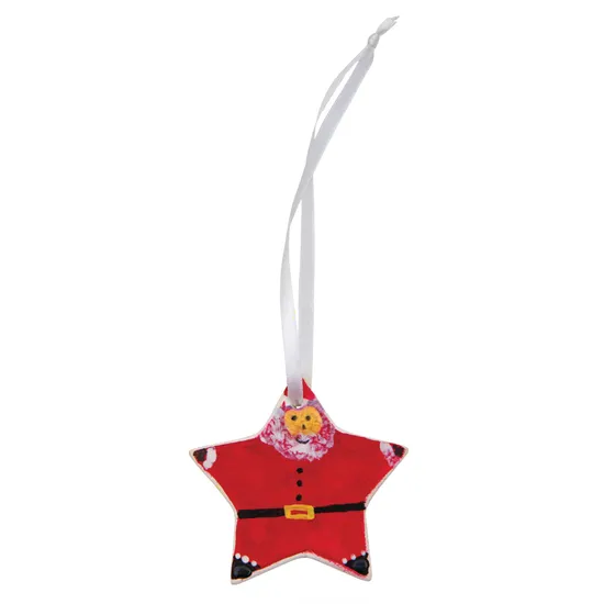 Ceramic Star Ornament - Pack of 10 - Modern Teaching Aids NZ