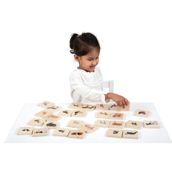 Domestic Animal Family Match 28 Pieces - Modern Teaching Aids NZ