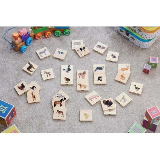 Domestic Animal Family Match 28 Pieces - Modern Teaching Aids NZ