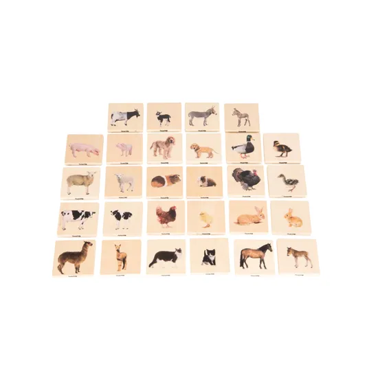 Domestic Animal Family Match 28 Pieces - Modern Teaching Aids NZ
