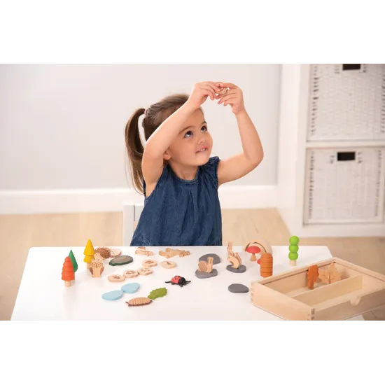 Woodland Trail Set of 37 - Modern Teaching Aids NZ