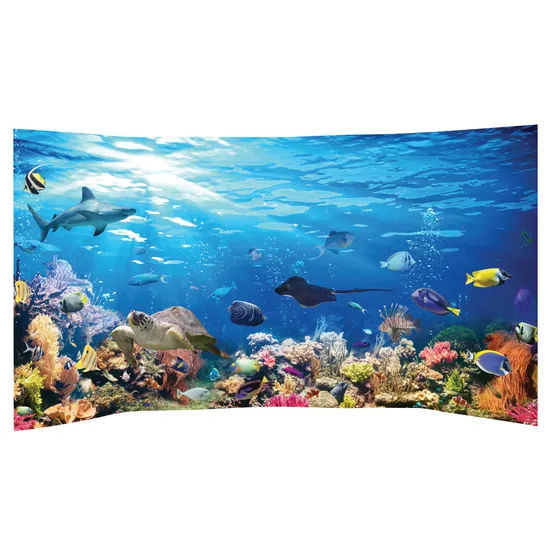 Under the Sea Role Play Background