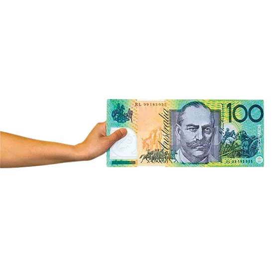 Big Money Cards - Set of 12 - Modern Teaching Aids NZ